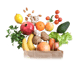 WellnessBoost-Nutricion