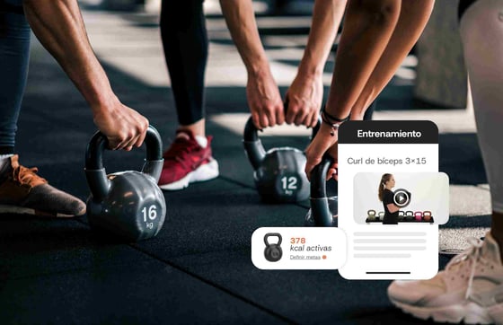 web-trainingym-2025_estudios-03_1_11zon